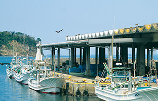 水揚げを終えた漁船が休息中の勝山漁港。