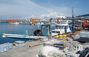 勝山の隣の保田漁港は広くてでっかい。
